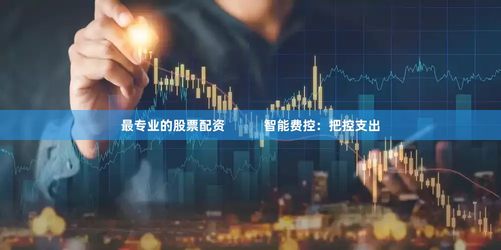 最专业的股票配资           智能费控：把控支出
