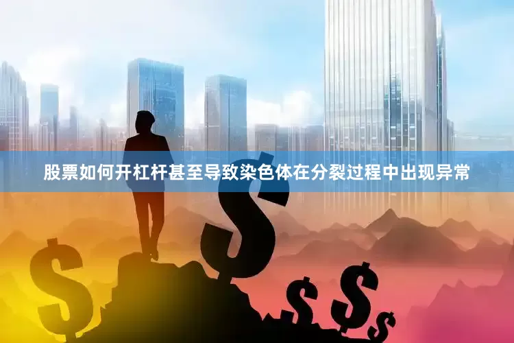 股票如何开杠杆甚至导致染色体在分裂过程中出现异常