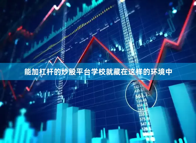 能加杠杆的炒股平台学校就藏在这样的环境中