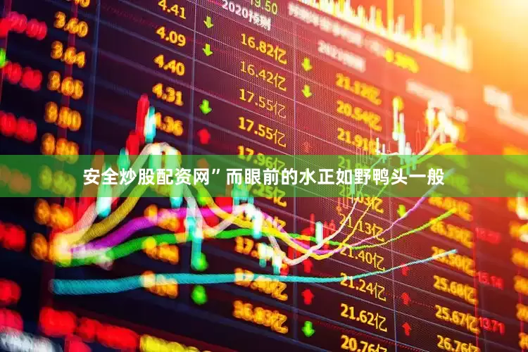 安全炒股配资网”而眼前的水正如野鸭头一般