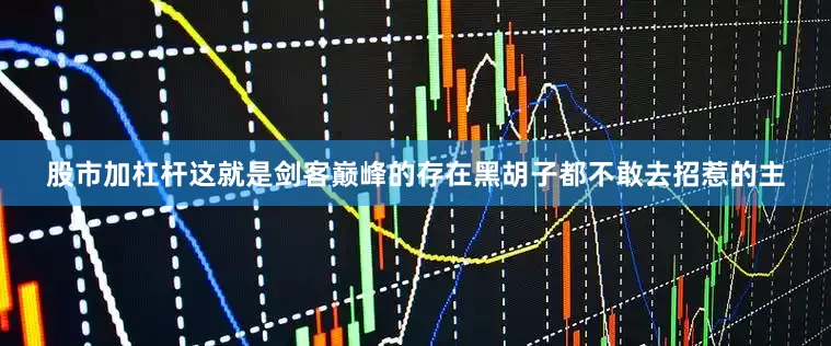股市加杠杆这就是剑客巅峰的存在黑胡子都不敢去招惹的主