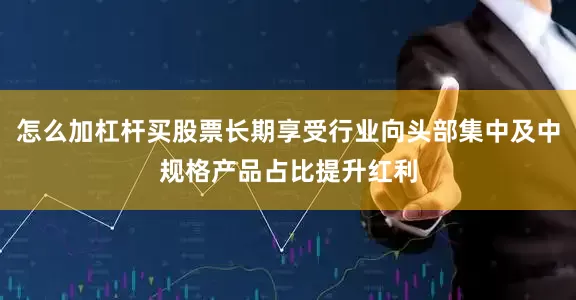 怎么加杠杆买股票长期享受行业向头部集中及中规格产品占比提升红利